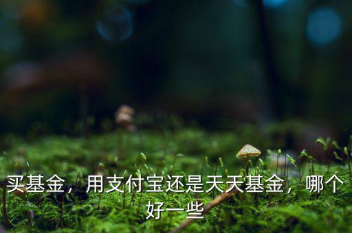 買基金，用支付寶還是天天基金，哪個(gè)好一些