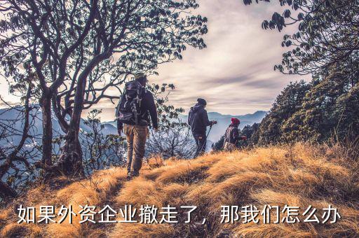 如果外資企業(yè)撤走了，那我們?cè)趺崔k