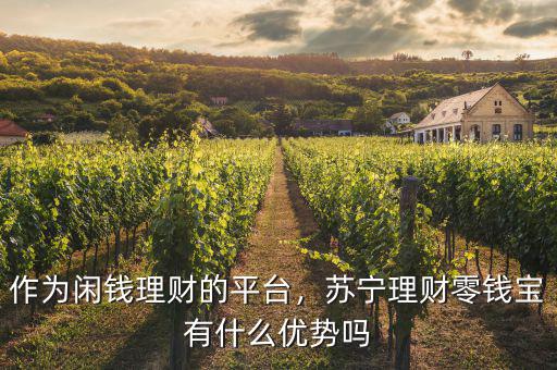 作為閑錢理財?shù)钠脚_，蘇寧理財零錢寶有什么優(yōu)勢嗎