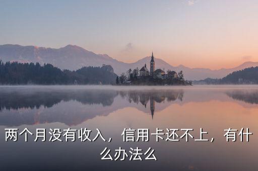 兩個(gè)月沒有收入，信用卡還不上，有什么辦法么