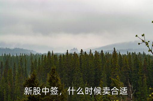 新股中簽，什么時候賣合適