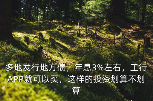 多地發(fā)行地方債，年息3%左右，工行APP就可以買，這樣的投資劃算不劃算