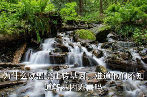 為什么歐盟禁止轉基因，難道他們不知道轉基因無害嗎