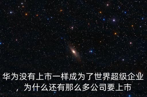 華為沒有上市一樣成為了世界超級企業(yè)，為什么還有那么多公司要上市