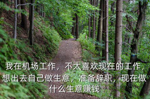 我在機(jī)場(chǎng)工作，不太喜歡現(xiàn)在的工作，想出去自己做生意，準(zhǔn)備辭職，現(xiàn)在做什么生意賺錢