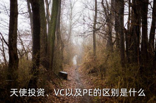 天使投資、VC以及PE的區(qū)別是什么