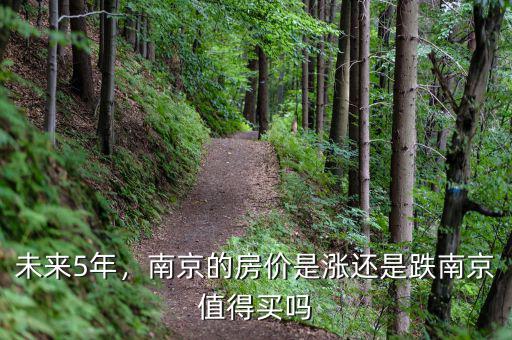 未來(lái)5年，南京的房?jī)r(jià)是漲還是跌南京值得買嗎
