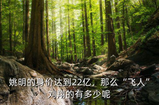 姚明的身價(jià)達(dá)到22億，那么“飛人”劉翔的有多少呢