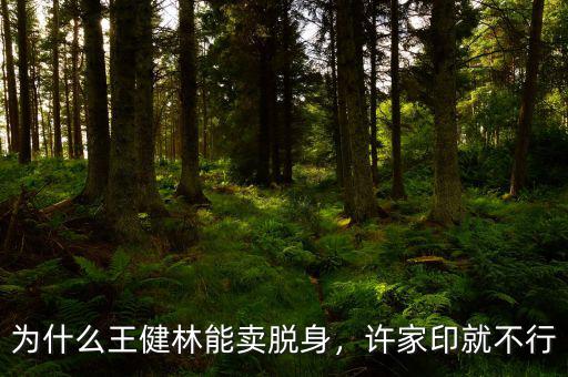 為什么王健林能賣脫身，許家印就不行