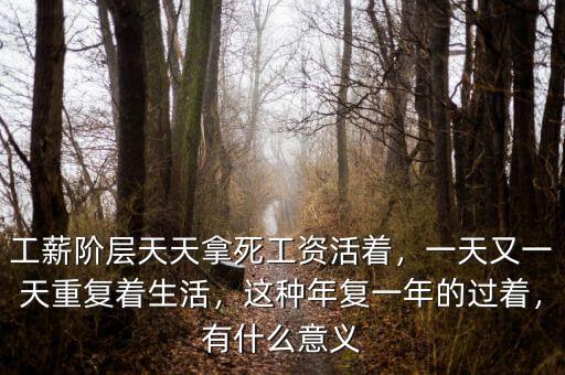 工薪階層天天拿死工資活著，一天又一天重復(fù)著生活，這種年復(fù)一年的過(guò)著，有什么意義