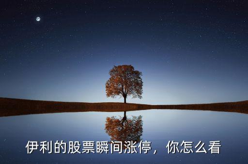 伊利的股票瞬間漲停，你怎么看