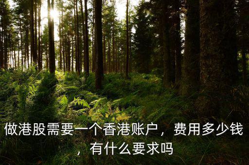 開(kāi)通港股帳戶需要多少錢,做港股需要一個(gè)香港賬戶