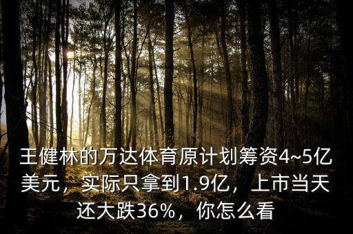 王健林的萬達(dá)體育原計(jì)劃籌資4~5億美元，實(shí)際只拿到1.9億，上市當(dāng)天還大跌36%，你怎么看