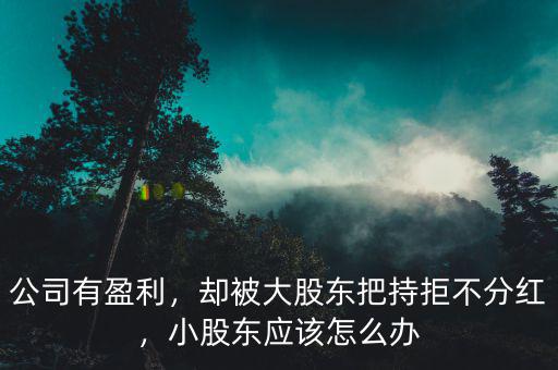 公司有盈利，卻被大股東把持拒不分紅，小股東應(yīng)該怎么辦