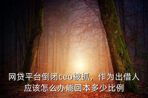 網(wǎng)貸平臺(tái)倒閉ceo被抓，作為出借人應(yīng)該怎么辦能回本多少比例