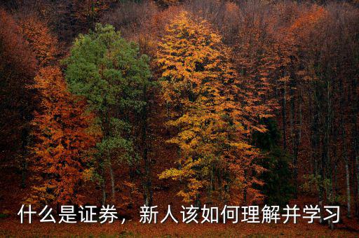 什么是證券，新人該如何理解并學習