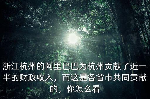 浙江杭州的阿里巴巴為杭州貢獻(xiàn)了近一半的財政收入，而這是各省市共同貢獻(xiàn)的，你怎么看