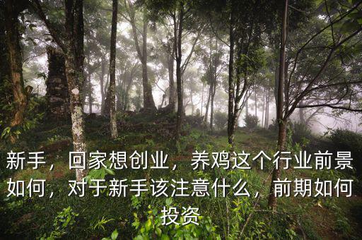 新手，回家想創(chuàng)業(yè)，養(yǎng)雞這個(gè)行業(yè)前景如何，對(duì)于新手該注意什么，前期如何投資
