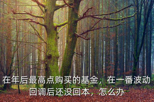 在年后最高點(diǎn)購買的基金，在一番波動(dòng)回調(diào)后還沒回本，怎么辦