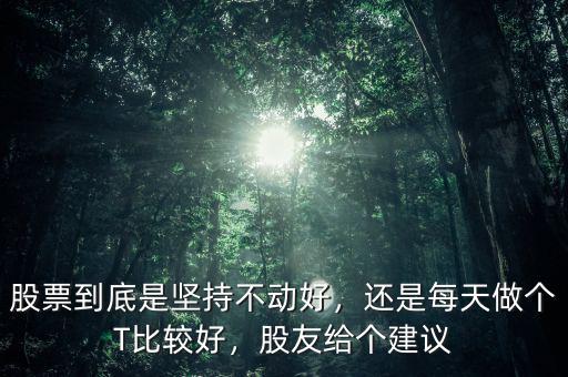 股票到底是堅(jiān)持不動(dòng)好，還是每天做個(gè)T比較好，股友給個(gè)建議