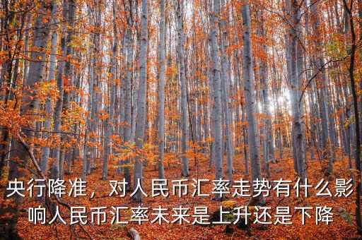 央行降準(zhǔn)，對人民幣匯率走勢有什么影響人民幣匯率未來是上升還是下降
