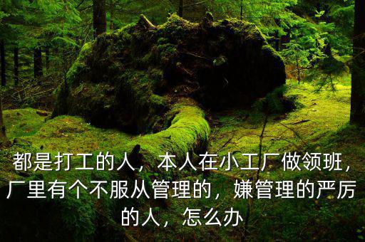 都是打工的人，本人在小工廠做領(lǐng)班，廠里有個(gè)不服從管理的，嫌管理的嚴(yán)厲的人，怎么辦