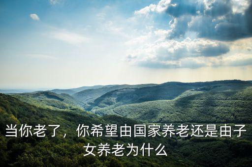 當(dāng)你老了，你希望由國家養(yǎng)老還是由子女養(yǎng)老為什么