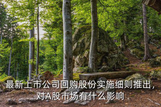 最新上市公司回購股份實(shí)施細(xì)則推出，對(duì)A股市場(chǎng)有什么影響