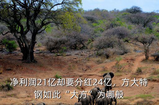 凈利潤21億卻要分紅24億，方大特鋼如此“大方”為哪般