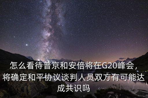 怎么看待普京和安倍將在G20峰會，將確定和平協(xié)議談判人員雙方有可能達成共識嗎