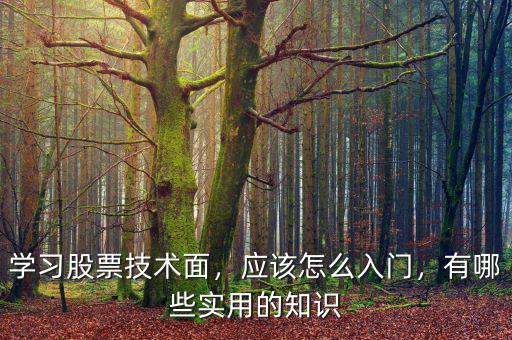 學(xué)習(xí)股票技術(shù)面，應(yīng)該怎么入門，有哪些實用的知識