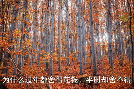 為什么過年都舍得花錢，平時卻舍不得