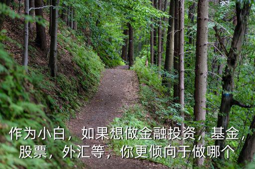 作為小白，如果想做金融投資，基金，股票，外匯等，你更傾向于做哪個(gè)