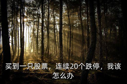 買到一只股票，連續(xù)20個(gè)跌停，我該怎么辦
