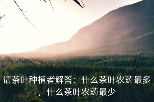 請茶葉種植者解答：什么茶葉農(nóng)藥最多，什么茶葉農(nóng)藥最少