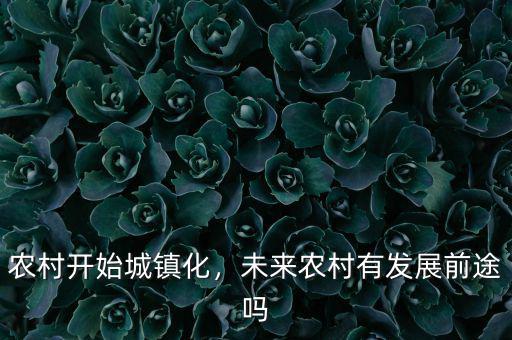農(nóng)村開始城鎮(zhèn)化，未來農(nóng)村有發(fā)展前途嗎