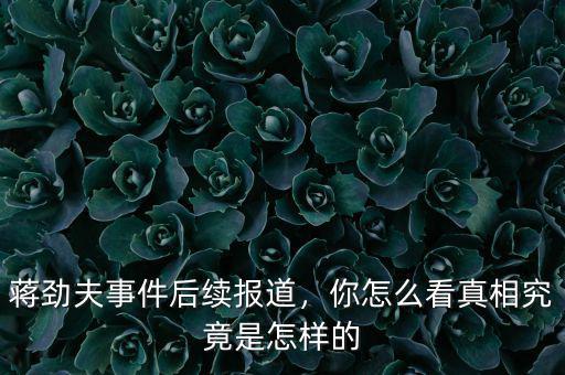 蔣勁夫事件后續(xù)報道，你怎么看真相究竟是怎樣的