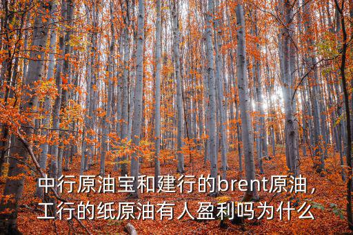 中行原油寶和建行的brent原油，工行的紙原油有人盈利嗎為什么