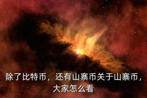 除了比特幣，還有山寨幣關(guān)于山寨幣，大家怎么看