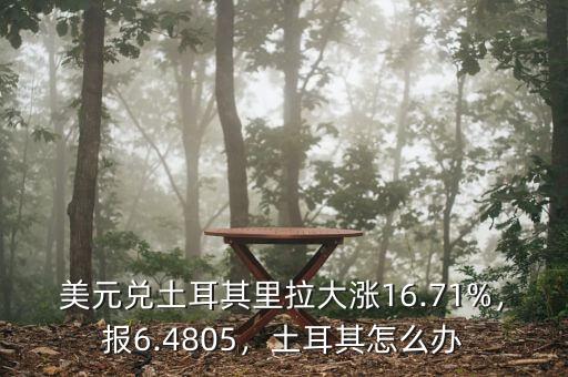 美元兌土耳其里拉大漲16.71%，報6.4805，土耳其怎么辦