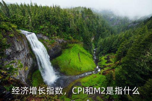 經(jīng)濟增長指數(shù)，CPI和M2是指什么