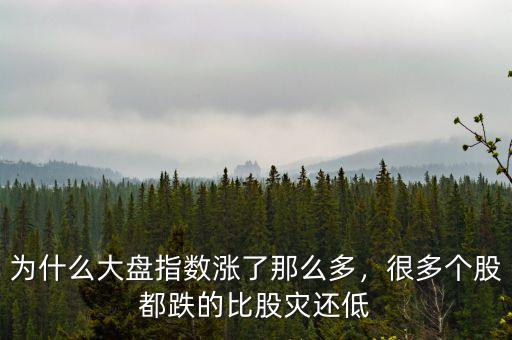 為什么大盤指數(shù)漲了那么多，很多個股都跌的比股災還低