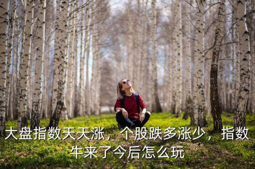 大盤指數(shù)天天漲，個(gè)股跌多漲少，指數(shù)牛來了今后怎么玩