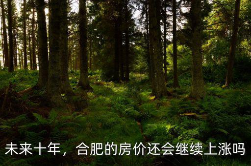 未來十年，合肥的房?jī)r(jià)還會(huì)繼續(xù)上漲嗎