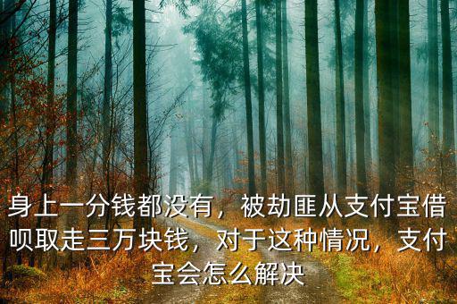 身上一分錢都沒有，被劫匪從支付寶借唄取走三萬塊錢，對于這種情況，支付寶會怎么解決
