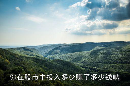 你在股市中投入多少賺了多少錢(qián)吶