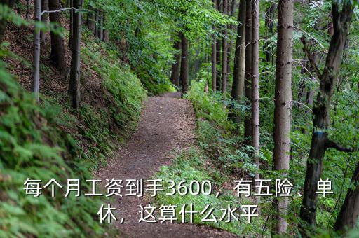 每個月工資到手3600，有五險、單休，這算什么水平