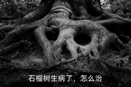 石榴樹生病了，怎么治