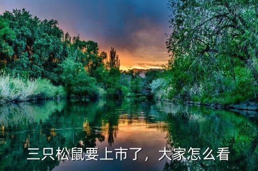 三只松鼠要上市了，大家怎么看