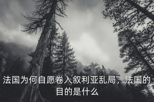 法國為何自愿卷入敘利亞亂局，法國的目的是什么